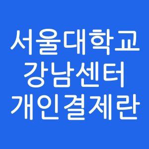 서울대학교 강남센터 개인결제란